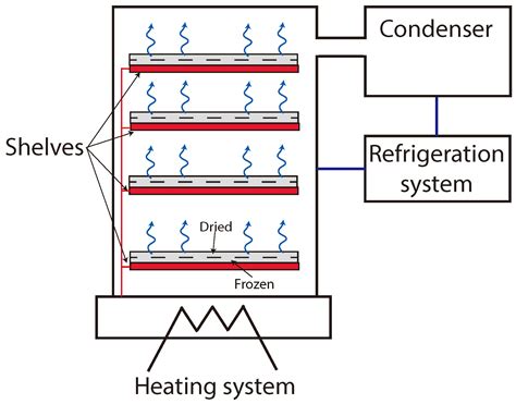 Model-Based Real Time Operation of the Freeze-Drying Process