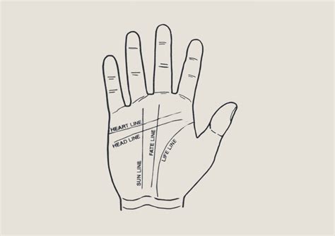Palmistry Hand Guide: What Your Hand Lines Say About Love, Career ...