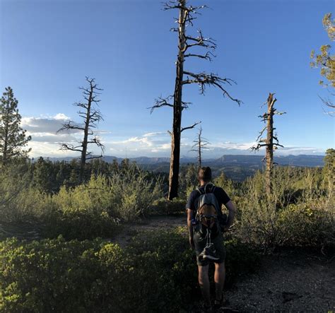 Social Impact Entrepreneurship 的图像结果