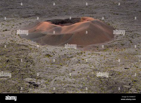 Formica Leo, a small secondary cone within the vast caldera of Piton de ...