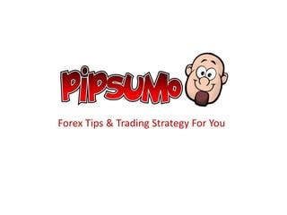 Image result for First-Rate Forex Guide Lesson