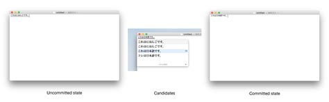 The display is incorrect when I type in Japanese - Support - Agenda ...