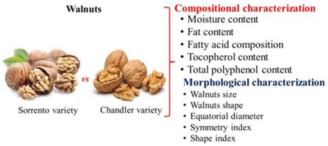 Compositional and Morphological Characterization of ‘Sorrento’ and ...