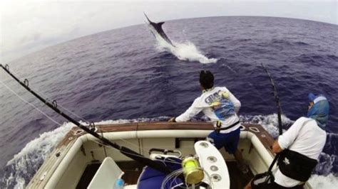 Cabo Verde Fishing Center (Mindelo) - All You Need to Know BEFORE You Go