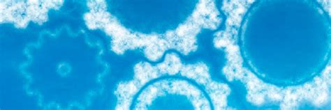 Image result for API Cloud Services