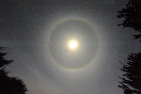 Gretel Matull – Mendonoma Sightings