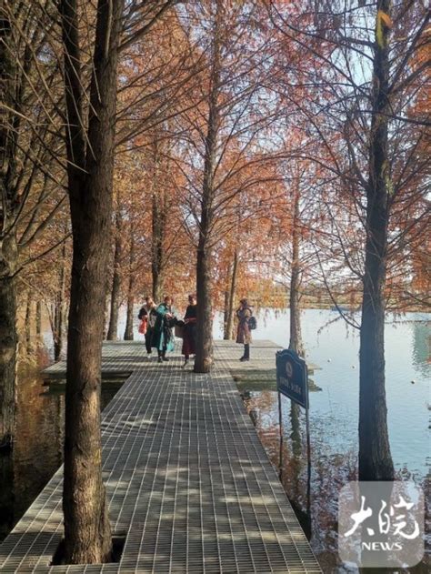 安徽芜湖朱家桥尾水净化生态公园-人民图片网