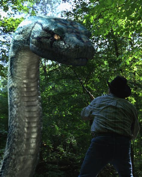 Python Boa Eating Dog 的图像结果