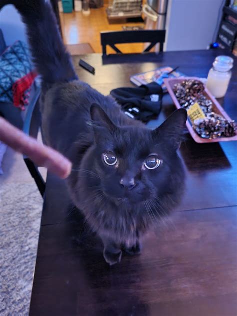 @emperor-binx on Tumblr