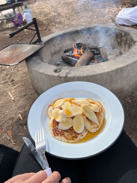 Dryandra Woodlands National Park Western Australia – Where Numbats Roam ...
