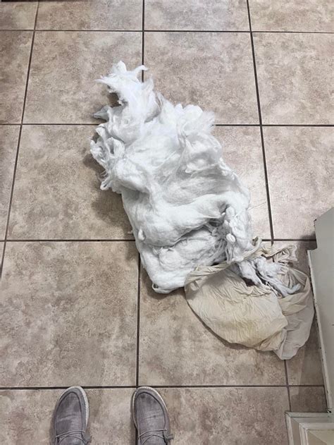 Image result for Power Washing Fails