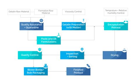 Image result for Softgel Encapsulation Assembly Process