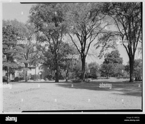 Flushing Cemetery, Flushing, Long Island, New York. Abstract/medium ...
