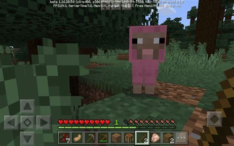 Command to Be Animal Minecraft Java 的图像结果