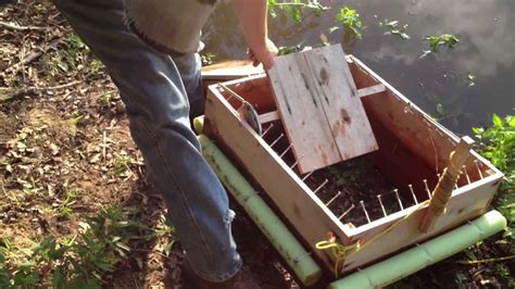 Image result for Building a Turtle Trap