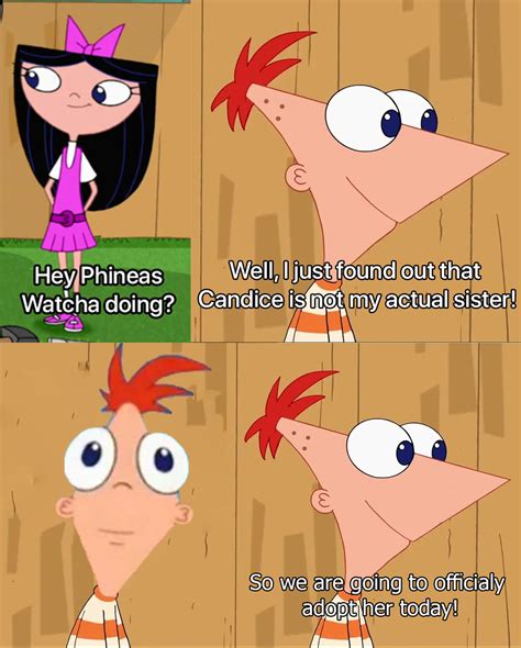 Phineas Memes