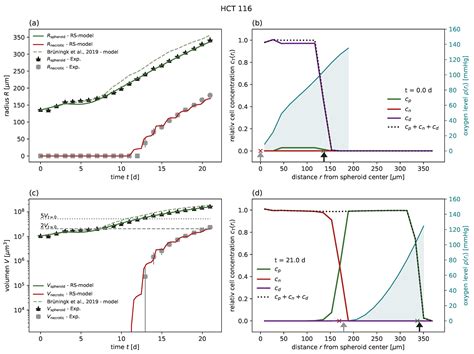 Efficient Radial-Shell Model for 3D Tumor Spheroid Dynamics with ...