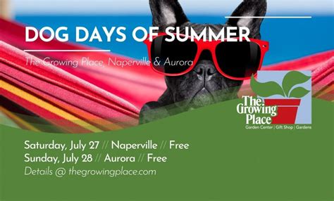 Dog Days of Summer, The Growing Place Garden Center, Naperville, 27 ...