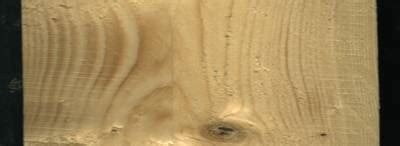 Wood Defect Detection - Dataset Ninja