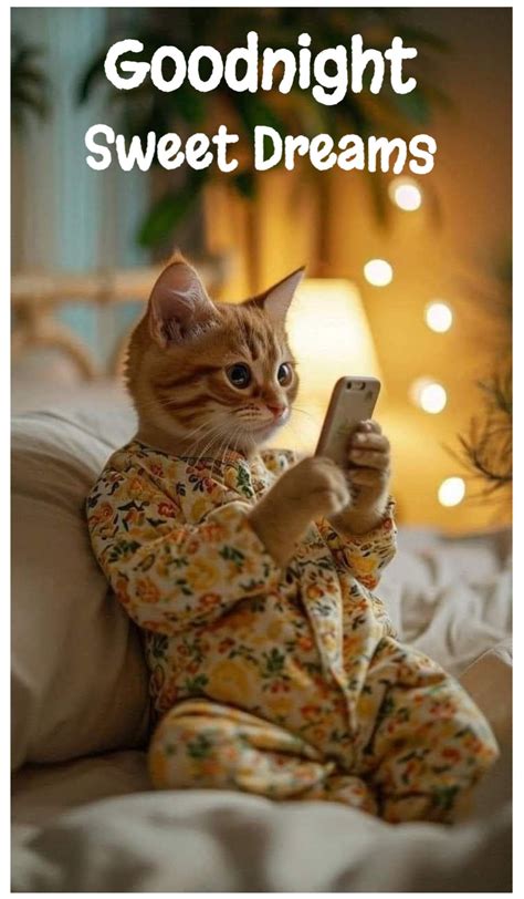 Pin by renee vaga on Good morning good night | Good night funny, Good ...