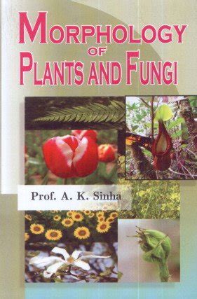 Buy Morphology Of Plants And Fungi Book Online at Low Prices in India ...