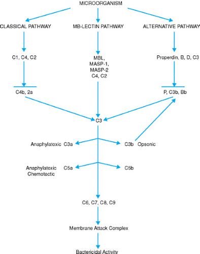 Image result for Low Complement