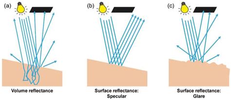 Separating Surface Reflectance from Volume Reflectance in Medical ...