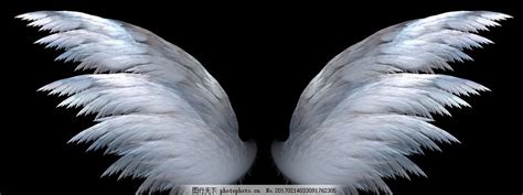 天使的翅膀图片图片免费下载_PNG素材_编号1xriype41_图精灵