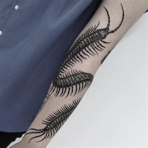 Traditional Centipede Tattoo