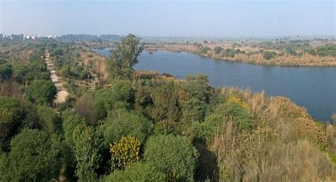 NGT issues notice to Centre and UP over Yamuna pollution in Mathura ...