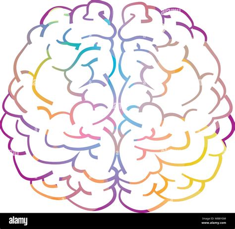 Left Right Hemisphere 的图像结果