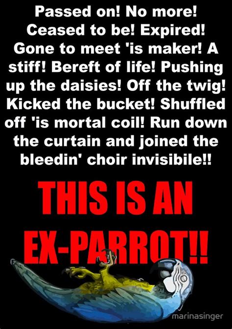 Image result for Monty Python Face