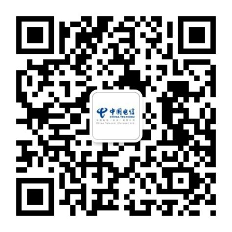 About China Telecom (Europe) - China Telecom (Europe) Ltd.