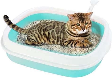 Buy BOFOS Cat Litter Box Tray with Scooper Suitable for Cats & Kittens ...