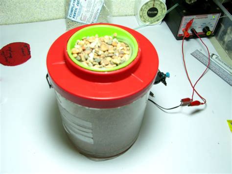 Basic Hydroponics for Beginners 的图像结果