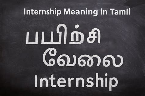 TCS Internship 2025: How to Apply & Everything you need to know.