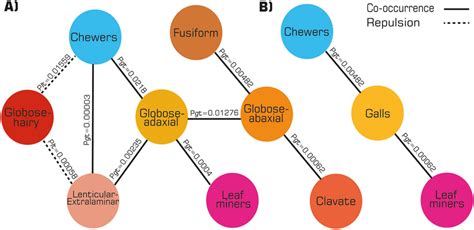 Co-Occurrence Network Python 的图像结果