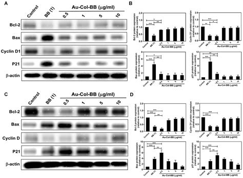 Delivery Capacity and Anticancer Ability of the Berberine-Loaded Gold ...