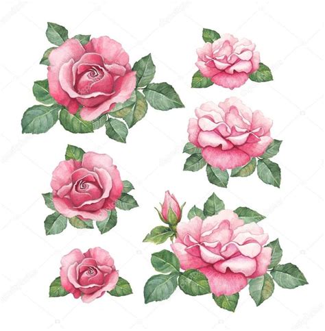 수채화 일러스트에 대한 이미지 검색결과 | Flower drawing, Flower art, Watercolor illustration