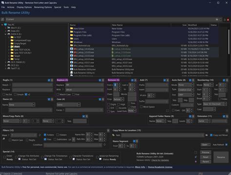 Image result for Bulk Rename Utility Regex.replace