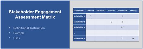 Image result for Stakeholder Assessment Matrix Example