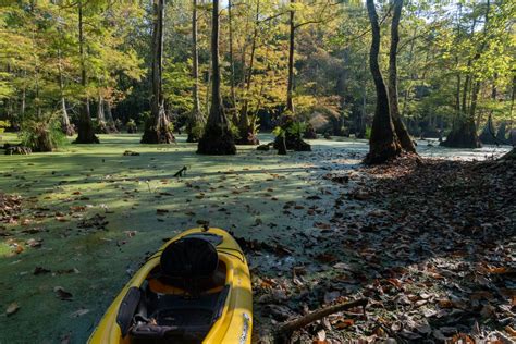 Grenada, MS Guide: What to Do, Where to Eat, & Where to Stay