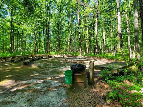 Turkey Swamp Park Camping | The Dyrt