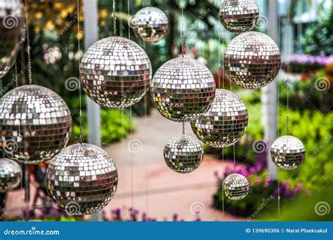 Disco Balls, Mirror Balls Hanging Outside in the Garden.. Stock Photo ...