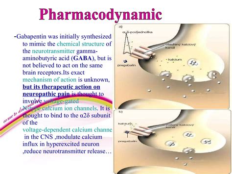 Gabapentin and pregablin | PPS