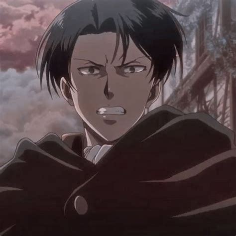 Levi Aot 的图像结果