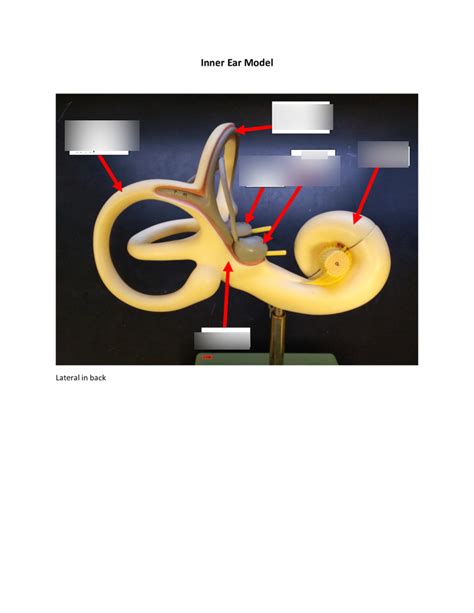 Image result for In-Ear Dynamic Systems Examples