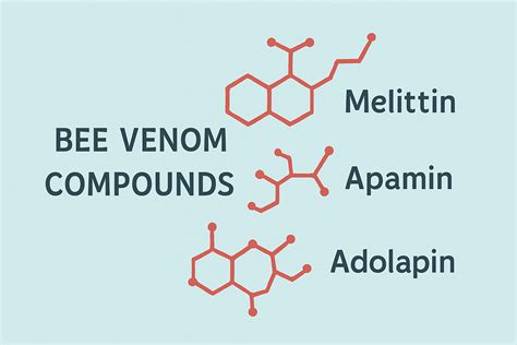 Can Bee Venom Help in Arthritis? Understanding the Bee Venom Therapy ...
