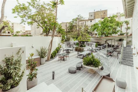 Discover the best restaurants in Athens Greece to savor authentic Greek flavors, local favorites, and unforgettable culinary experiences.