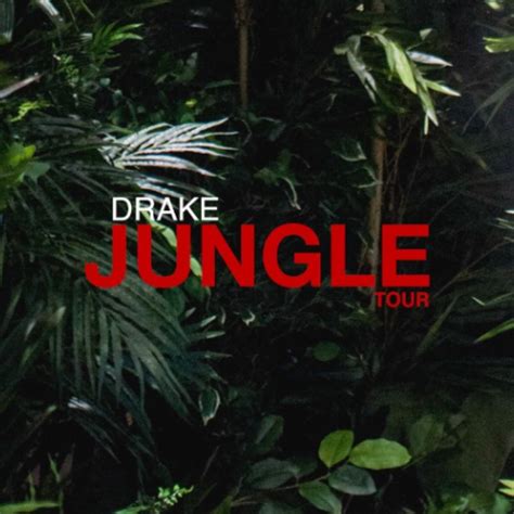 Jungle Lyrics Drake